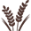 Decorative Shape